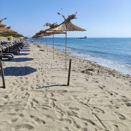 център * بورغاس