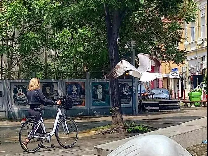 център Apartman Burgasz